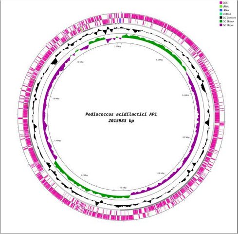 New Scientific Advances at the Institute of Microbiology in WGS and Genome Mining